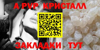 крисы Гусев