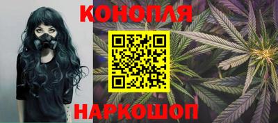 крисы Гусев