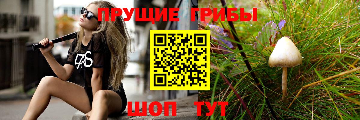 Нововоронеж  Псилоцибиновые грибы Psilocybe  Вход с VPN 