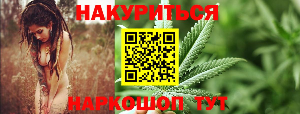 Бошки марихуана конопля Нововоронеж